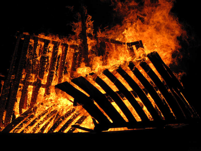 Photo by Lois Miyashiro