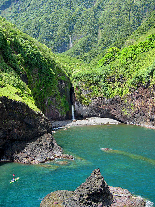 Photo by Andy Collins