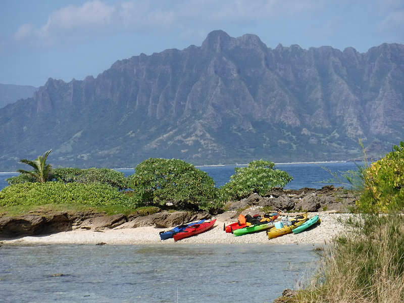 Photo by Sandy Murphy