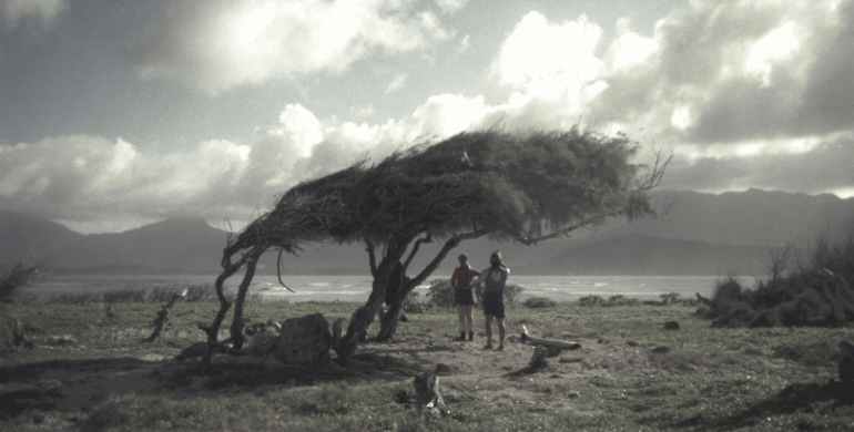 Photo by Peter Nicholson